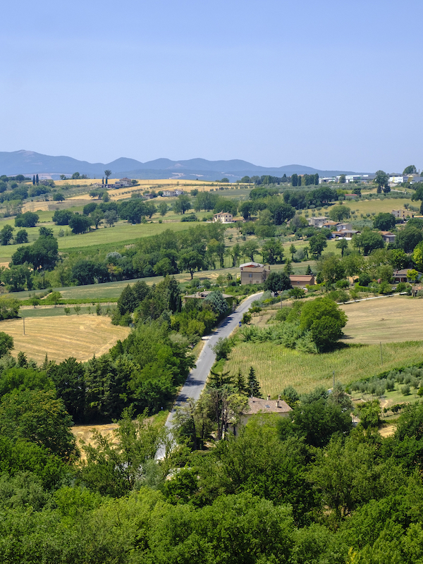 Panorama di Massa Martana Panorama di Massa Martana