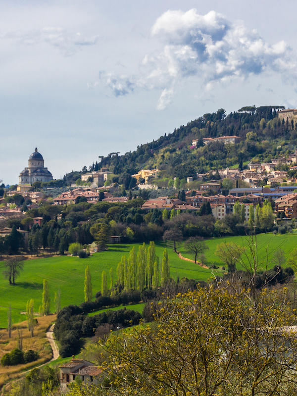 Todi Todi